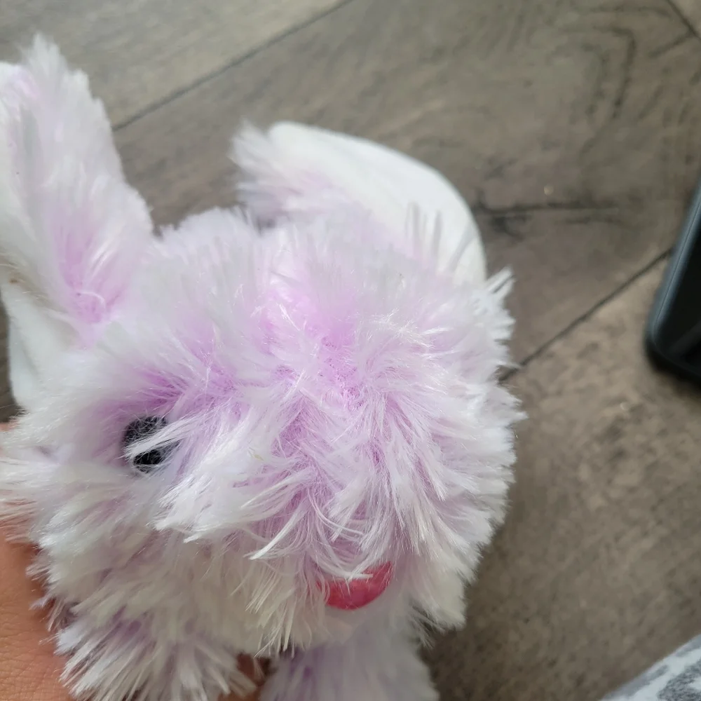 N/A pink nose